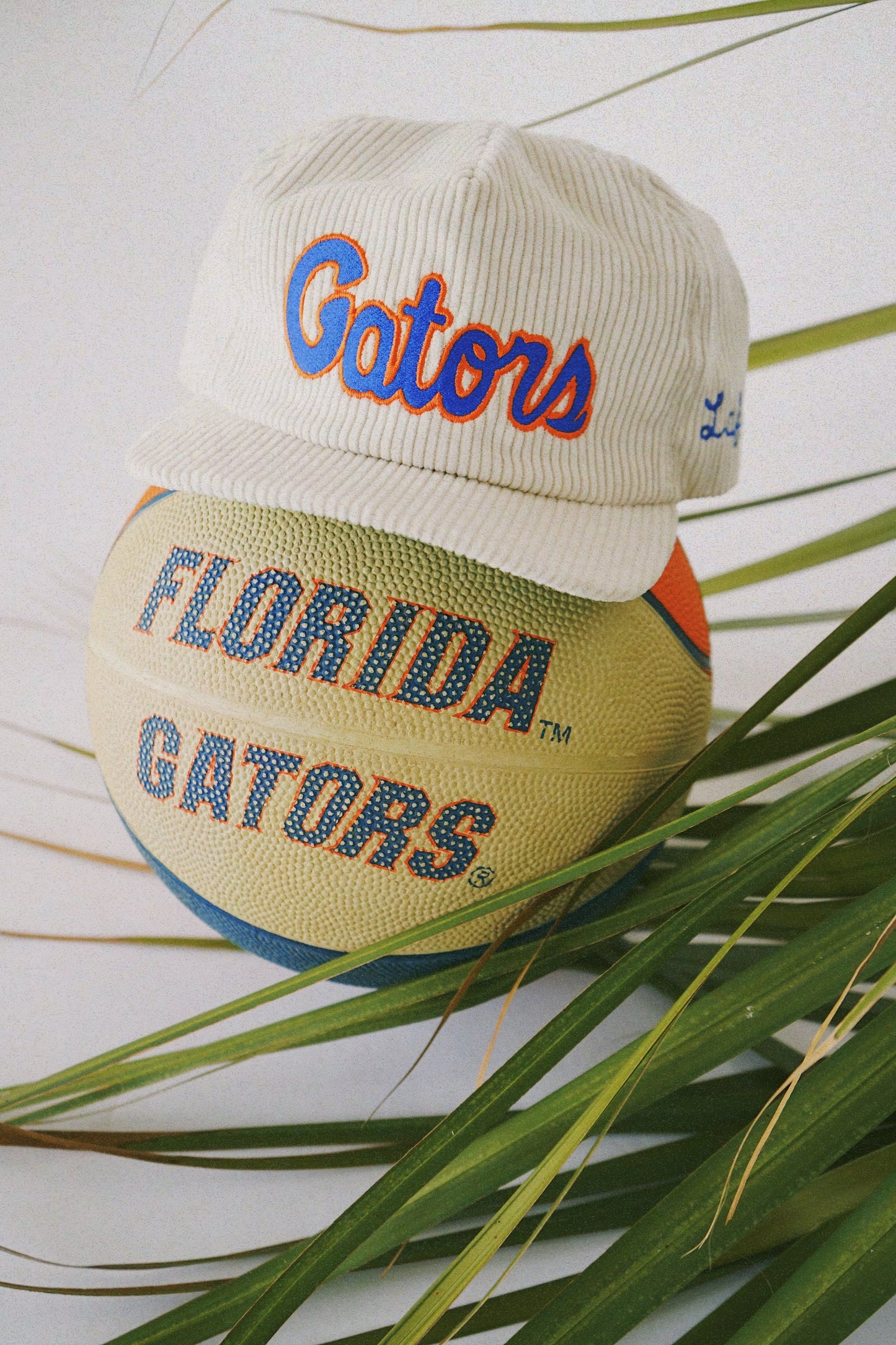 Cream Official Florida Gators