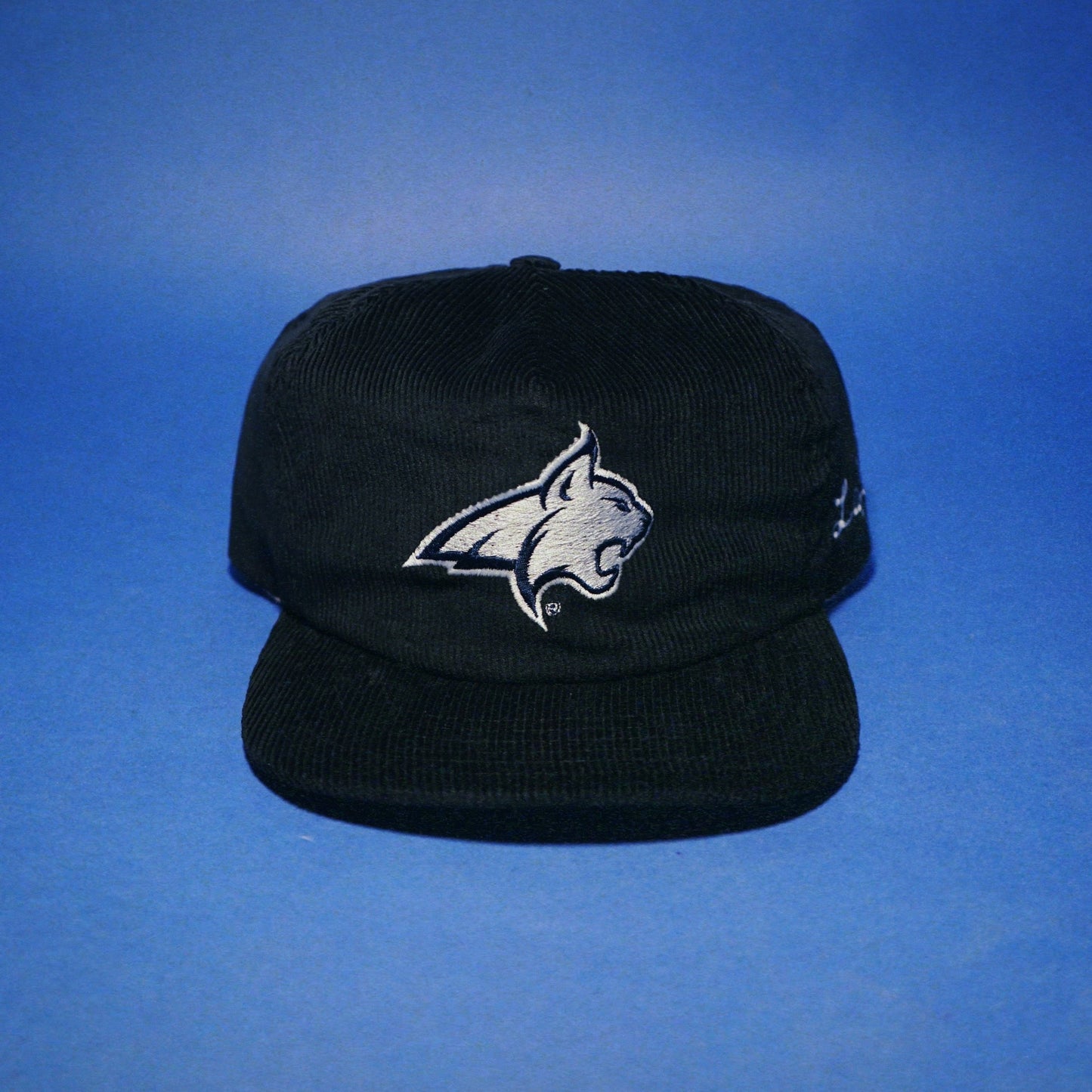 Bobcat Trucker