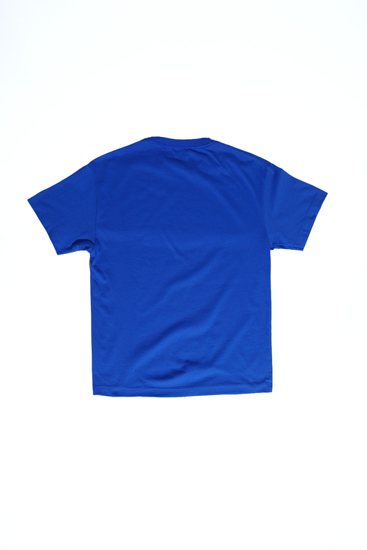 Blue Gators Scale T