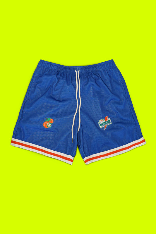 Gatorade OB Varsity Shorts