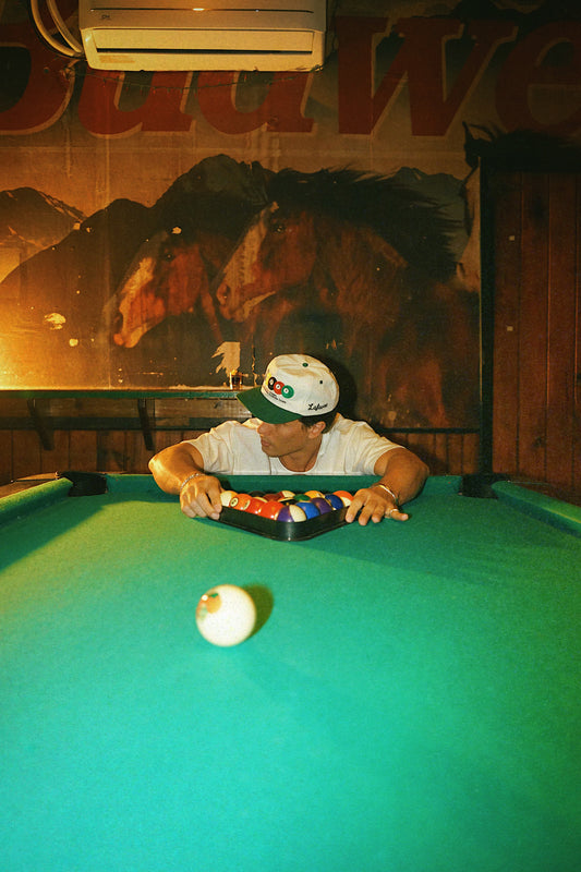 Person at a pool table with a mural of horses in the background