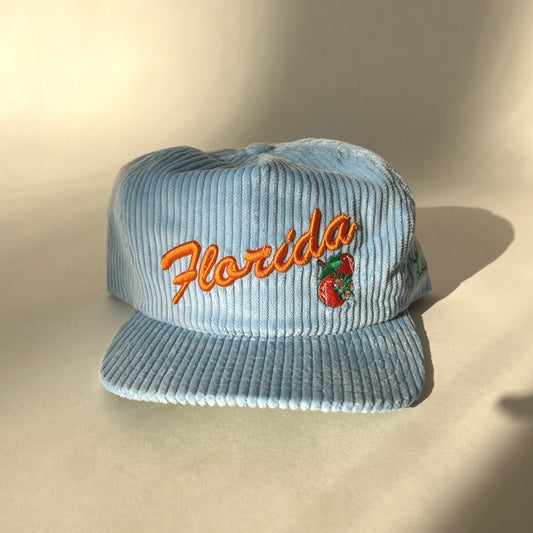 Baby Blue Tourist