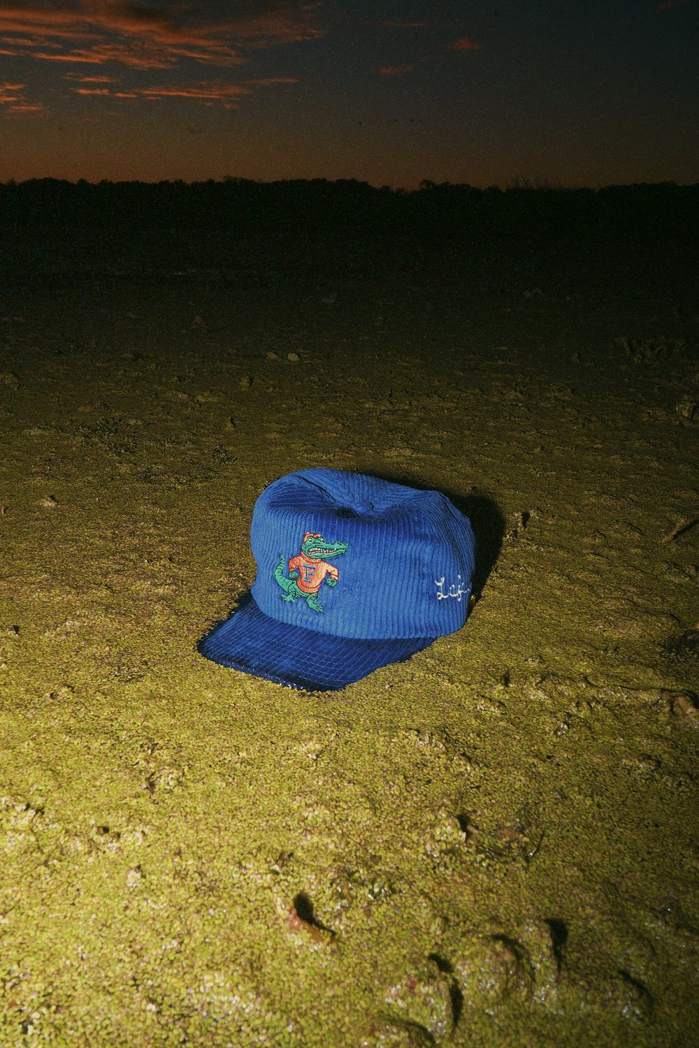 Lookbook Image