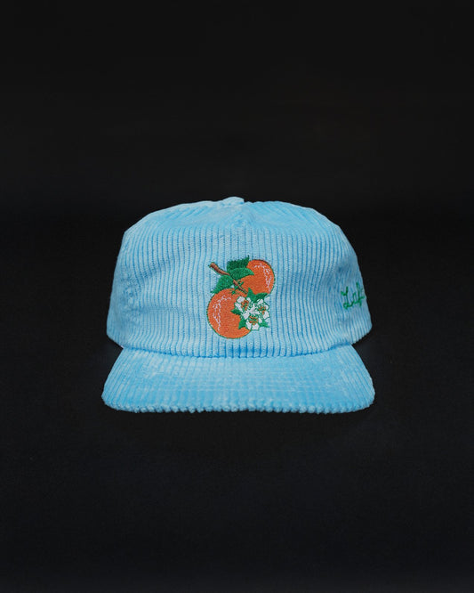 Baby Blue OB Trucker