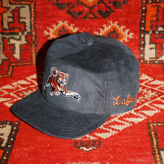 Auburn Tigers Trucker