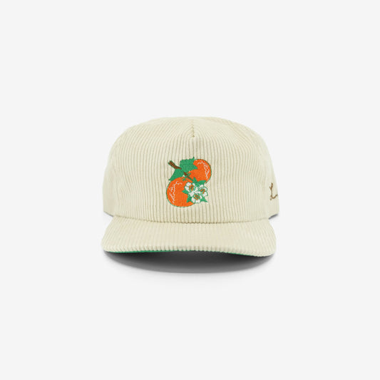 Oatmeal OB Trucker