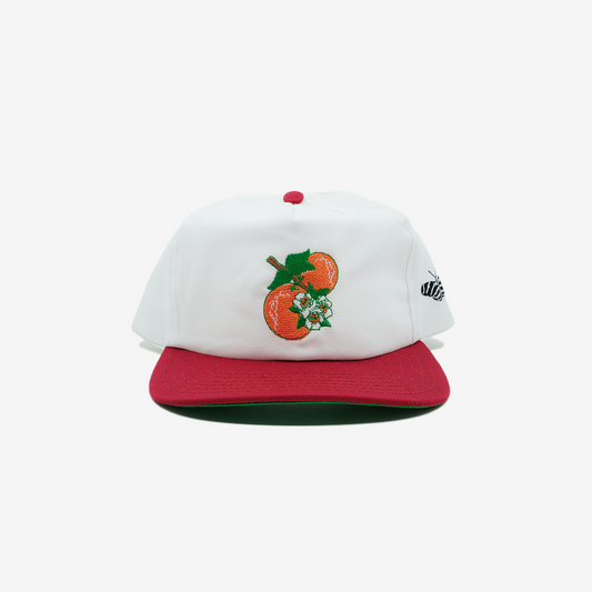 Red OB Snapback