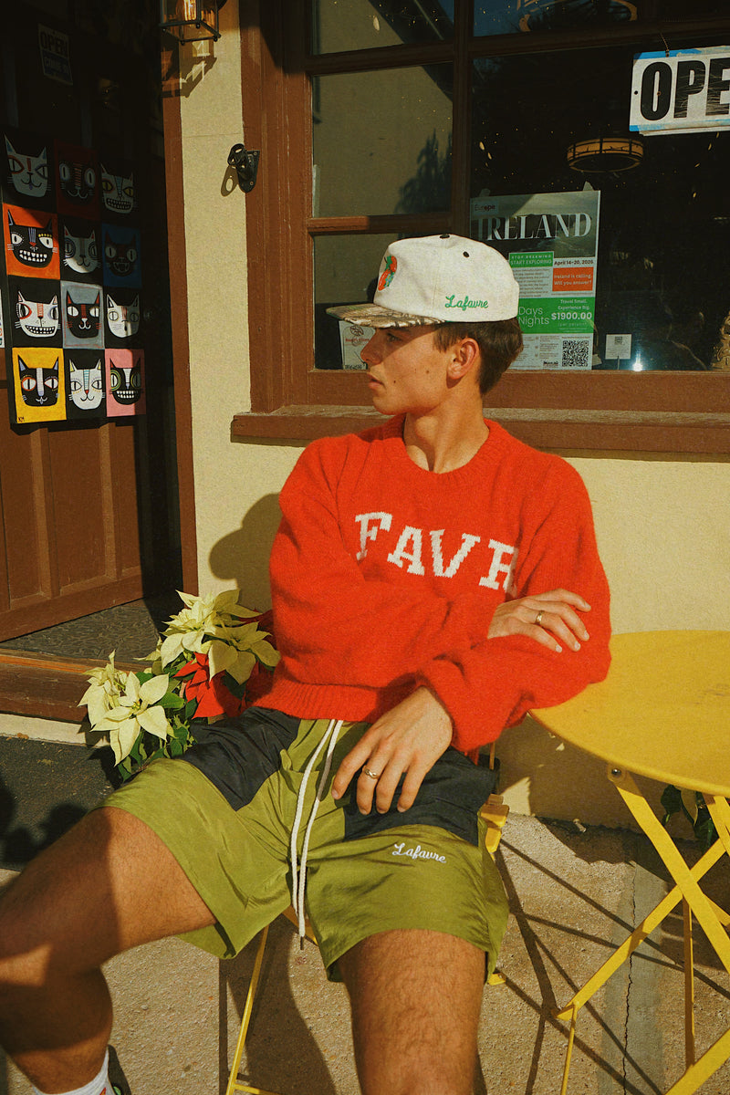 Person wearing a red sweatshirt with 'LAFAVRE' and green shorts sitting outdoors.